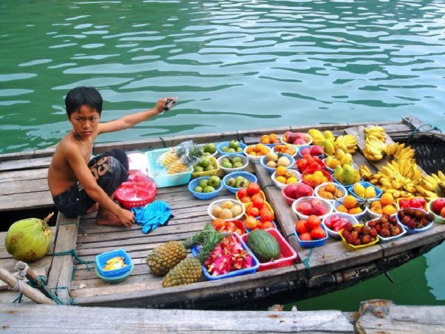 Voyage culinaire au Vietnam : découvrez les saveurs exotiques