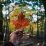 découvrir le Canada