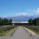 Les caves et vignobles en montagne