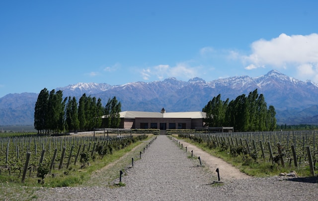 Les caves et vignobles en montagne