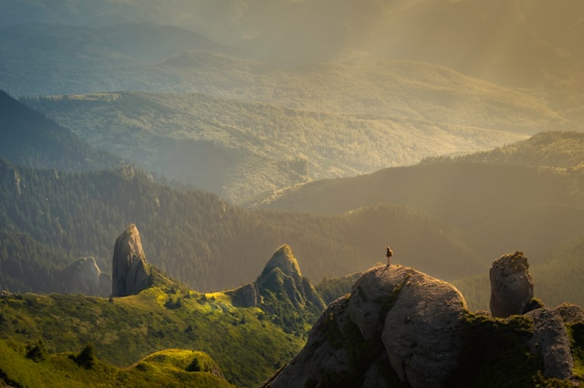 Les réserves naturelles de Laponie