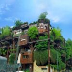 l'immobilier écologique