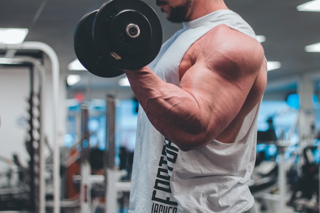 la musculation